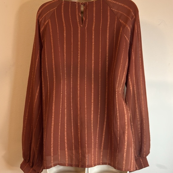 Savannah Jane Rust Tone on Tone Embroidered Boho Top Keyhole Back Sz M - Picture 5 of 6